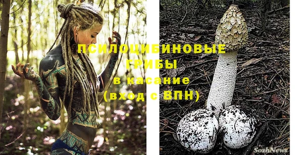 винт Белокуриха