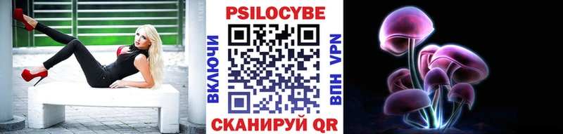shop телеграм  Буйнакск  Псилоцибиновые грибы GOLDEN TEACHER 
