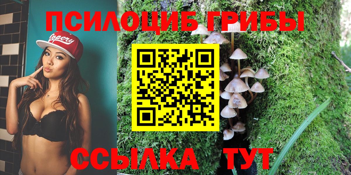 Псилоцибиновые грибы Cubensis Буйнакск
