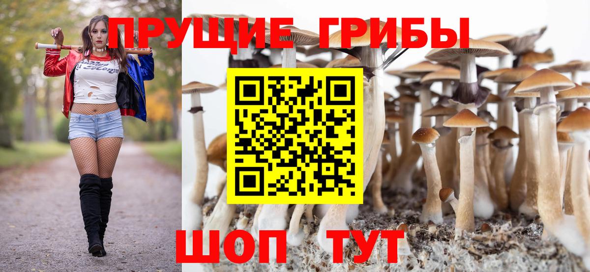 Псилоцибиновые грибы GOLDEN TEACHER  наркошоп  Буйнакск  Вход с VPN 